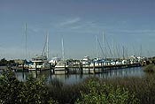 Tarpon Springs